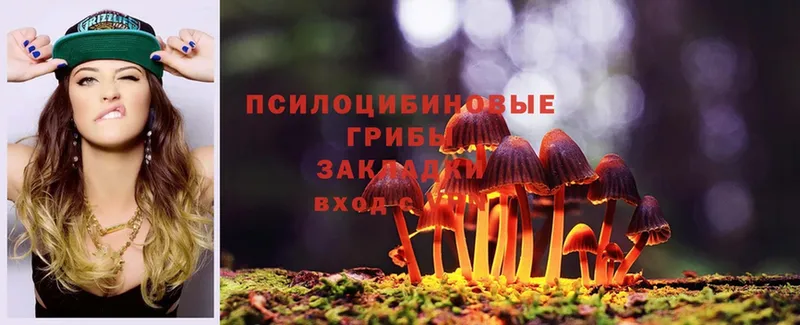 купить закладку  Давлеканово  Галлюциногенные грибы Psilocybe 